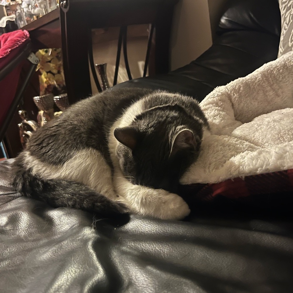 Meet your Posher, Ce